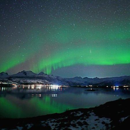 2. Etg I Dampskipsbrygga, Lodingen Havn Buitenkant foto